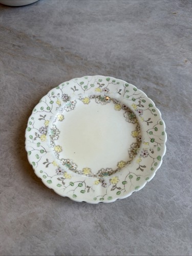 Vintage plant tuscan china - plant,