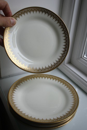 Tuscan plant single x1 - ,
