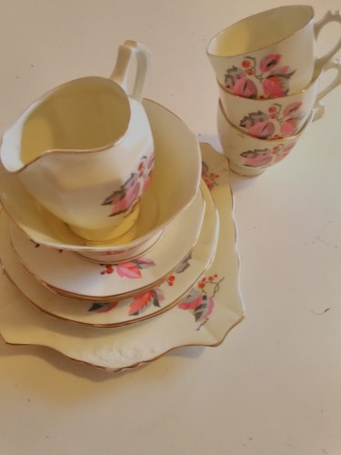 Plant tuscan china tea - tuscan,