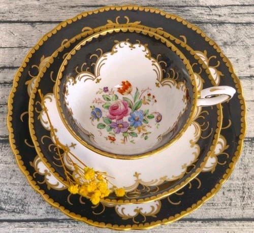 Rare vintage plant tuscan - vintage,